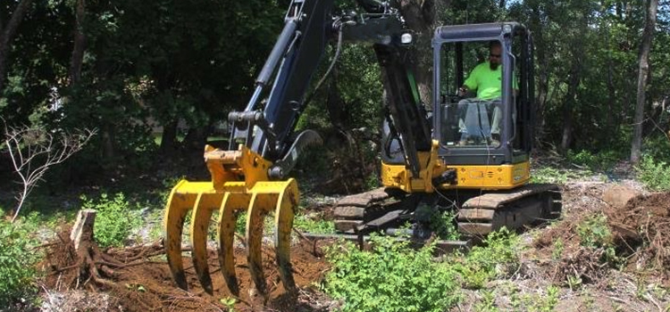 What can our E.P brand mini excavator do for you--use a mini excavator to remove vegetation and debris